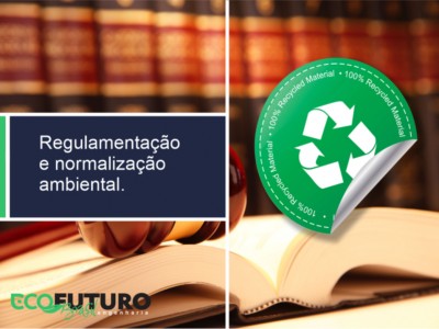 Regulamentação e normalização ambiental