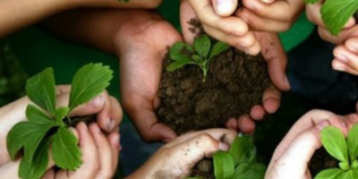 Projetos ambientais