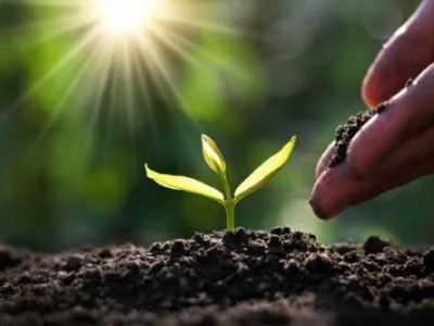 ACESSORIA AMBIENTAL