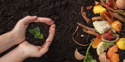 Consulta Pública - Plano Nacional de Redução e Reciclagem de Resíduos Orgânicos Urbanos (Planaro)